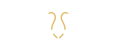NEW 2 U Logo